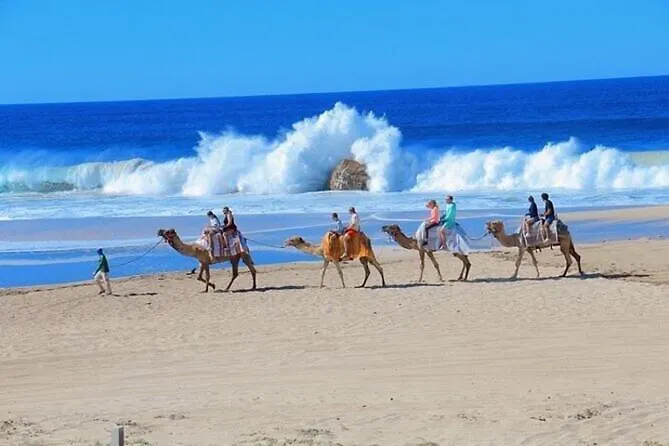 Cabo Oceanfront Luxury With Amenities * Cabo San Lucas